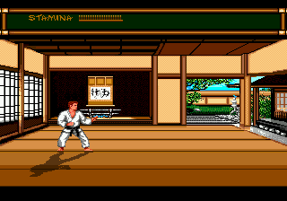 Budokan - The Martial Spirit Screenshot 1
